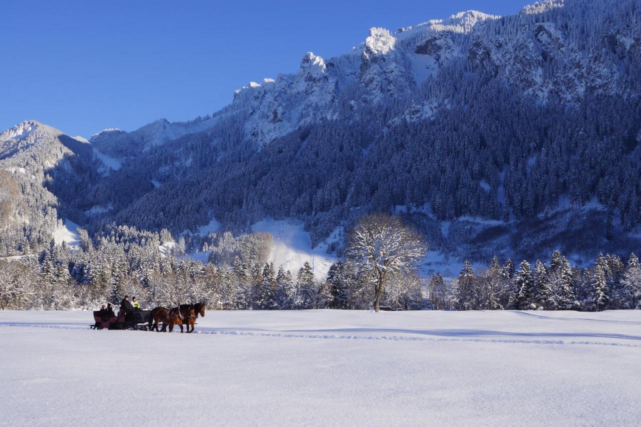 Maximilian Appartements Schwangau Exteriér fotografie